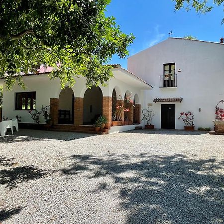 Villa Tana Pacenzia Cefalu Exterior photo